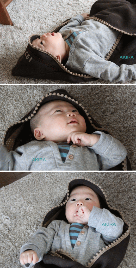 c0017311_18325116.gif