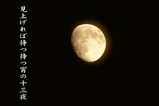 e0099713_1948399.jpg