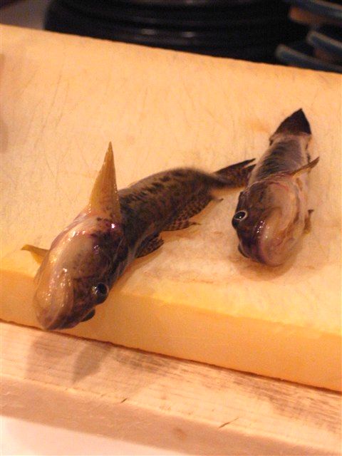 「向きあう」ということ。_c0116714_343251.jpg