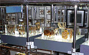 f0191517_1552246.jpg