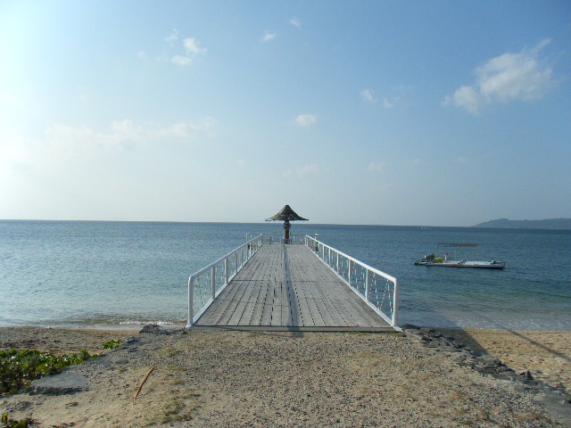 f0183618_16363896.jpg