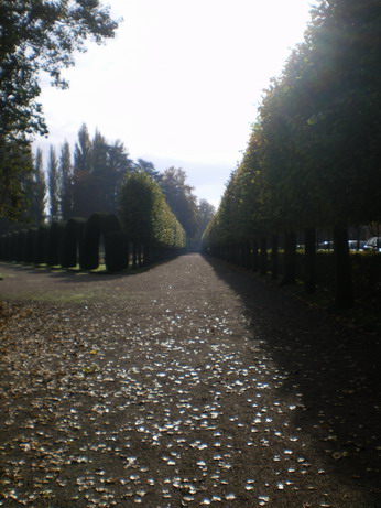 カシューの散歩公園は彫刻の林公園_c0124619_44759.jpg