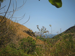 d0038319_17182498.gif