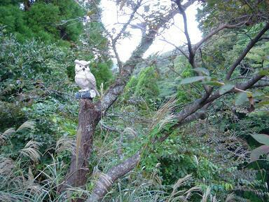 霧島山上ホテル　２００９・１０・３０_f0000521_4304373.jpg