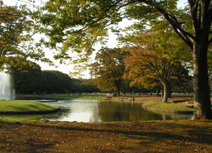 c0048023_11381673.jpg