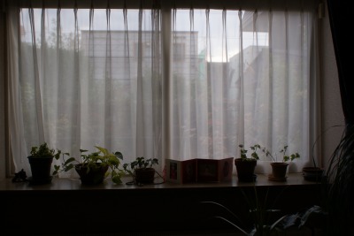 f0170524_15412428.jpg