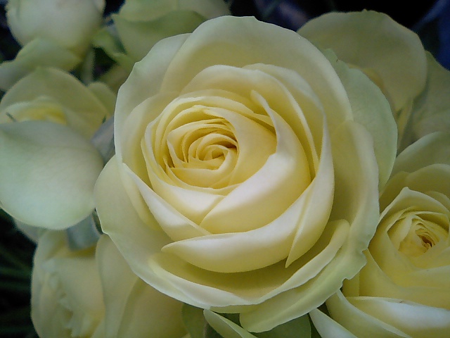 e0171426_1364189.jpg