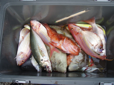 10月29日と30日の釣果_a0077071_1824877.jpg