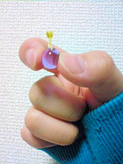 c0126176_412469.jpg