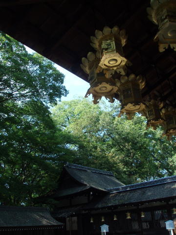 秋の京を歩く vol.7糺の森 下鴨神社_d0098183_10111196.jpg