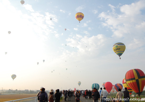 e0148083_1752837.jpg