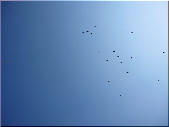 b0182884_11322347.jpg
