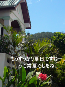 王国の近隣には!?_f0144385_13311713.jpg