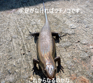 王国の近隣には!?_f0144385_13315027.jpg