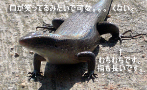 王国の近隣には!?_f0144385_13322258.jpg