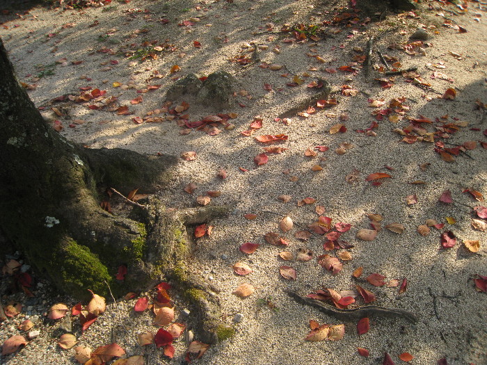 c0132387_9354057.jpg