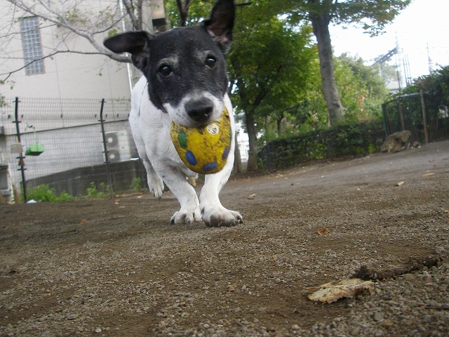 d0050290_0293392.jpg