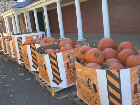 アメリカの高校って -ボストンのハロウィンちょっとだけー_f0083294_9545566.jpg