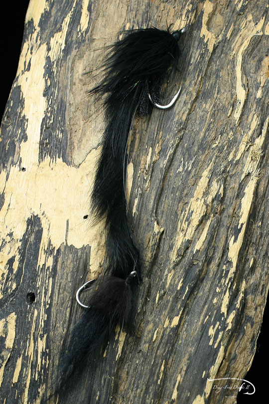 f0085599_15461370.jpg