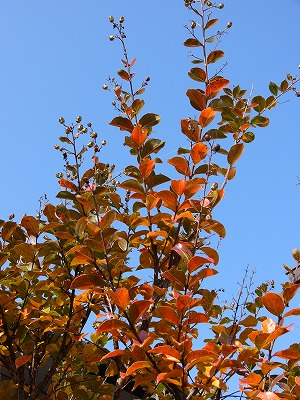 a0123003_193729.jpg