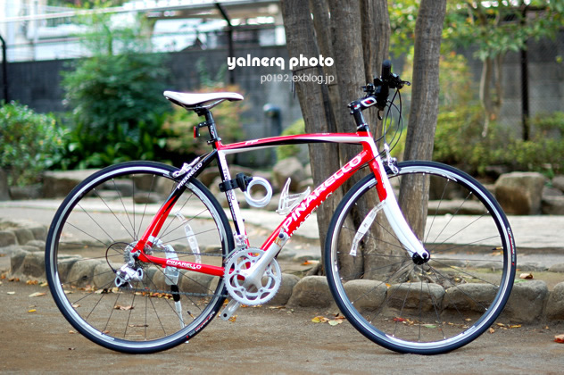 2008 PINARELLO TREVISO ピナレロ 直売お買い得 | kitaichiglass.co.jp