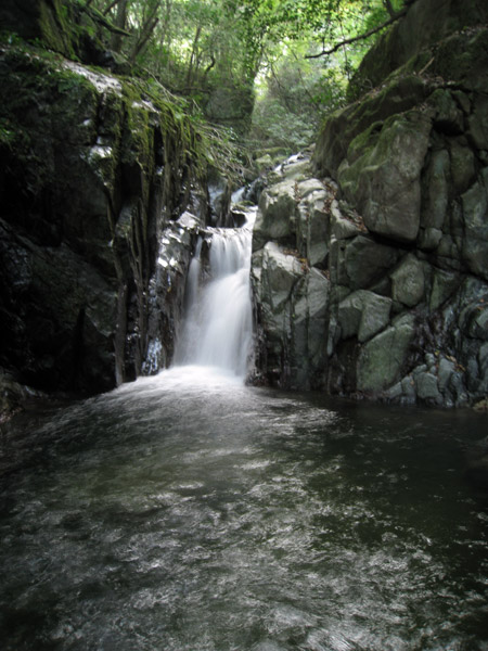 a0097006_23183665.jpg