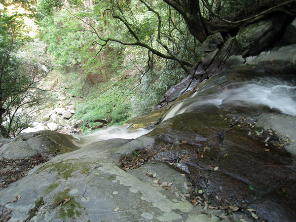 a0097006_232299.jpg