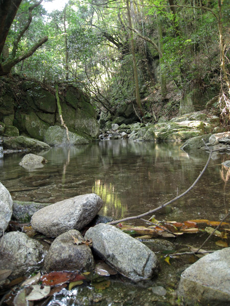 a0097006_2335683.jpg