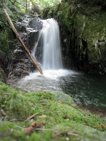 a0097006_2391036.jpg