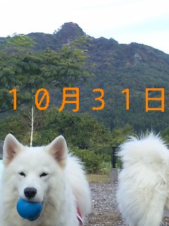 d0148408_1914464.jpg