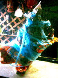 e0103408_12251554.gif