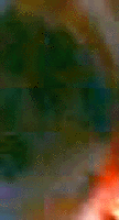 e0103408_12325510.gif