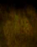 e0103408_12344076.gif