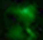 e0103408_12403216.gif