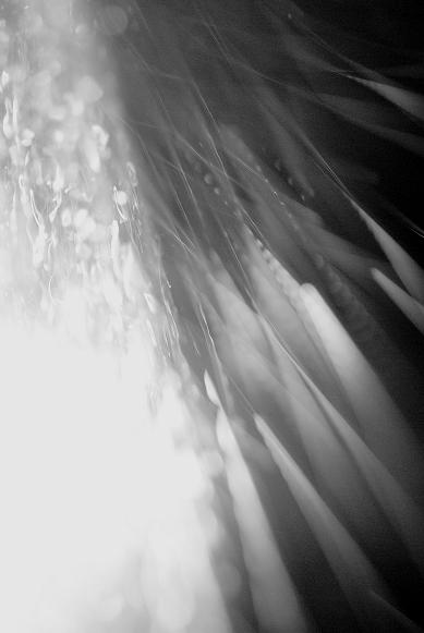 f0155808_813504.jpg