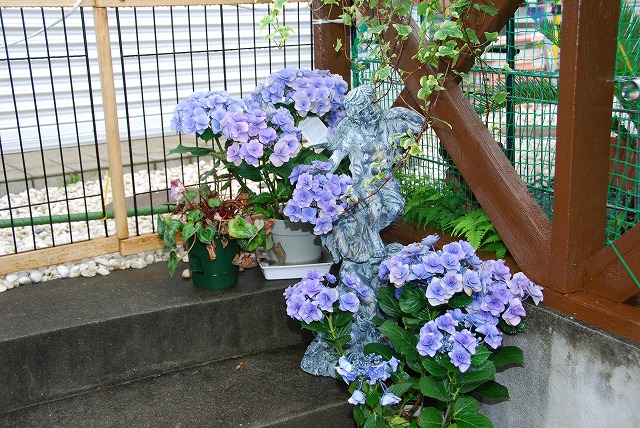e0075412_272184.jpg