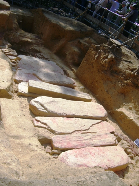 d0007913_19274844.jpg