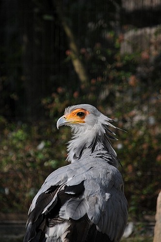 東武動物公園_d0118616_224493.jpg