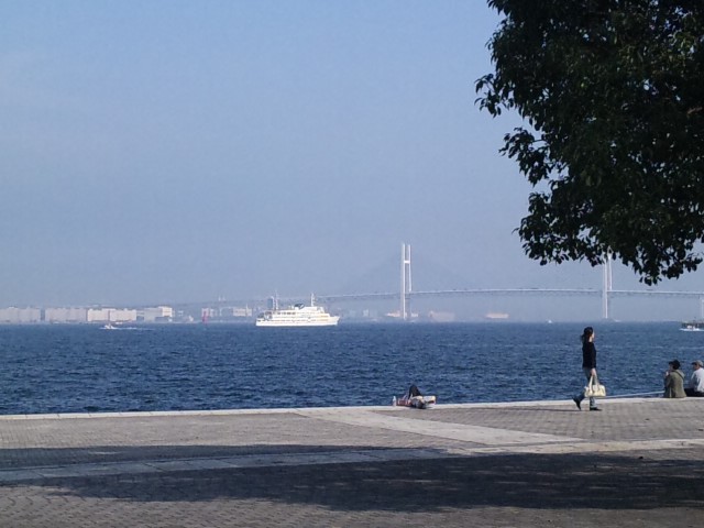 c0110219_1154862.jpg