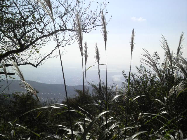 自転車で山と浜_c0225420_21463687.jpg