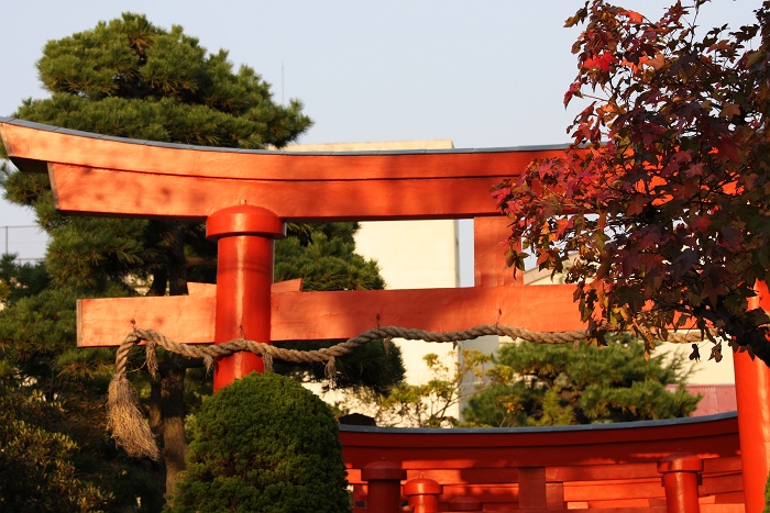 色づく街_b0128621_20561366.jpg