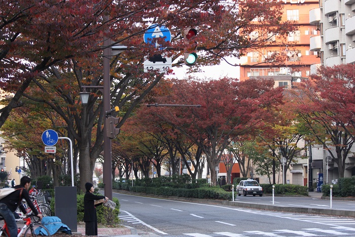 色づく街_b0128621_2057166.jpg