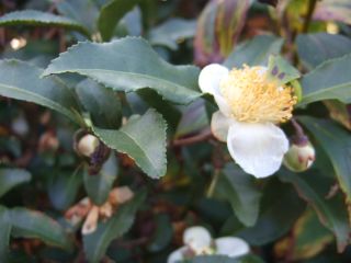 c0136324_2131716.jpg