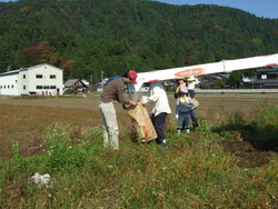 そばのオーナーの皆さんが刈り取りに来られました_e0061225_16212630.jpg