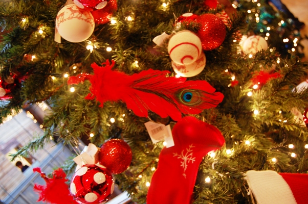 気分はクリスマス!_d0104926_6165831.jpg