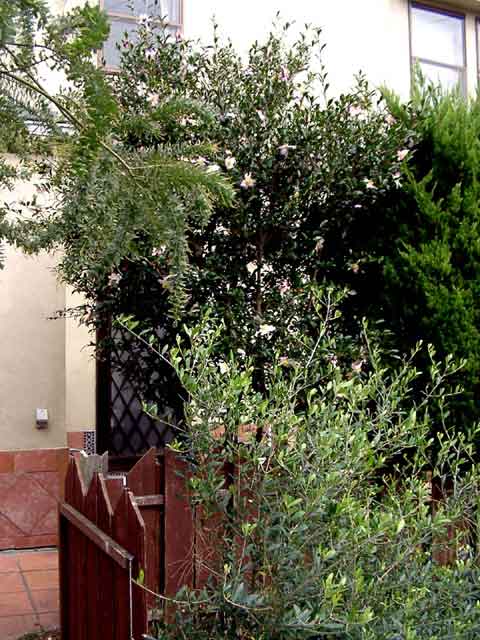 b0143231_13243744.jpg
