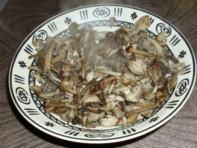 f0192635_191846.jpg