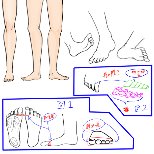 足の指の描き方 Rossa Mouna