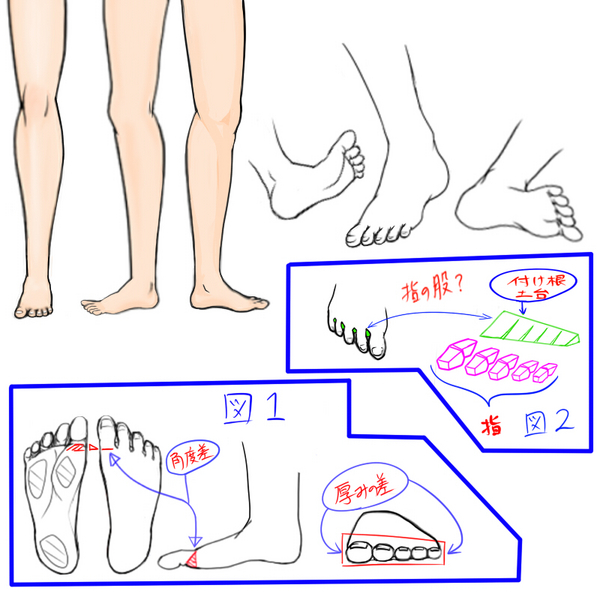 足の指の描き方 Rossa Mouna 足の指の描き方 Rossa Mouna