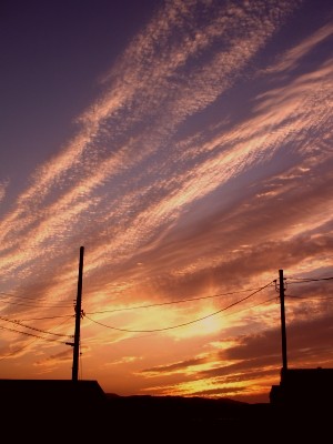 夕焼けてメトロン星はどこにある　工事路。_a0027641_104518.jpg